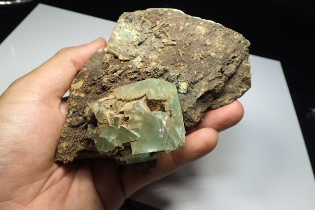 大分県産 豊栄鉱山 蛍石（結晶） 古い標本 959 - tenkawacrystal